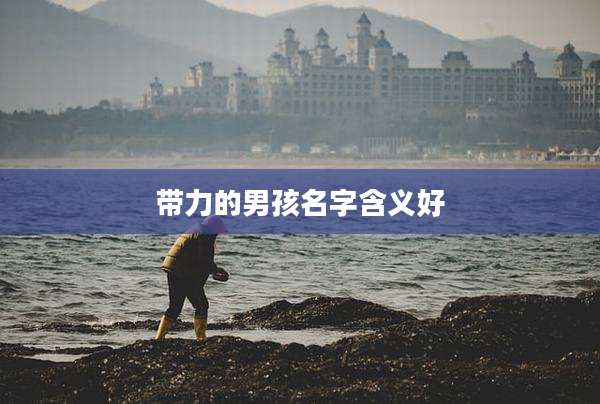 带力的男孩名字含义好