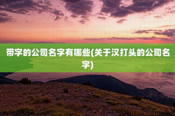 带字的公司名字有哪些(关于汉打头的公司名字)