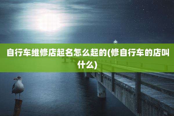 自行车维修店起名怎么起的(修自行车的店叫什么)