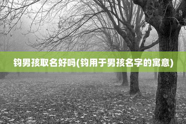 钧男孩取名好吗(钧用于男孩名字的寓意)