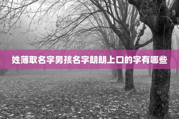 姓薄取名字男孩名字朗朗上口的字有哪些