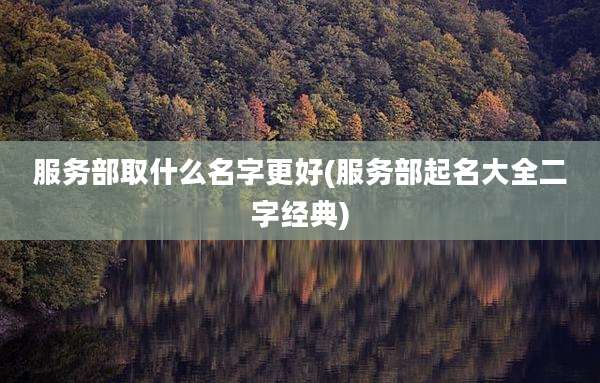 服务部取什么名字更好(服务部起名大全二字经典)