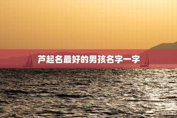 芦起名最好的男孩名字一字