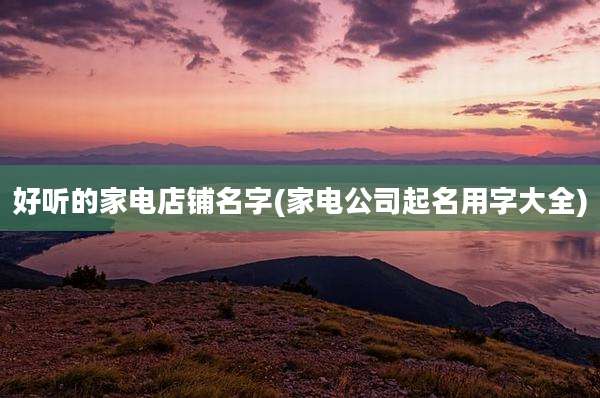 好听的家电店铺名字(家电公司起名用字大全)