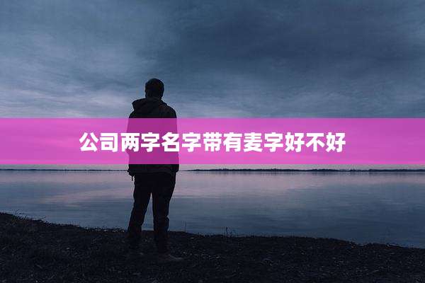 公司两字名字带有麦字好不好