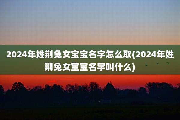 2024年姓荆兔女宝宝名字怎么取(2024年姓荆兔女宝宝名字叫什么)