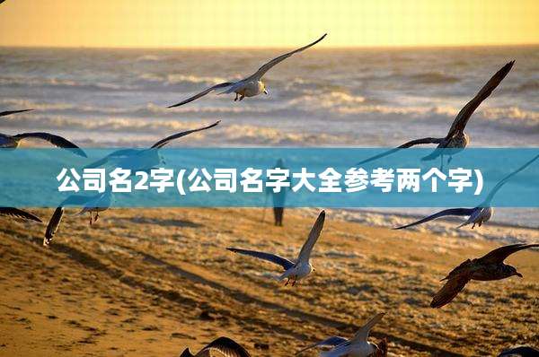 公司名2字(公司名字大全参考两个字)