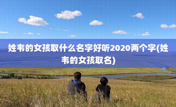 姓韦的女孩取什么名字好听2020两个字(姓韦的女孩取名)