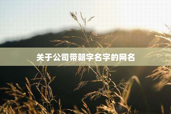 关于公司带朝字名字的网名