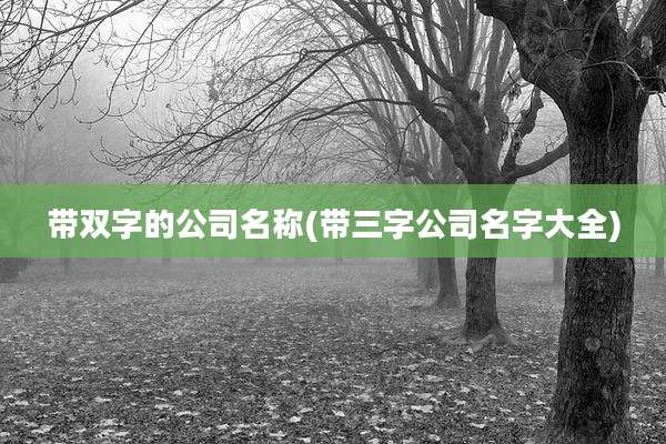 带双字的公司名称(带三字公司名字大全)