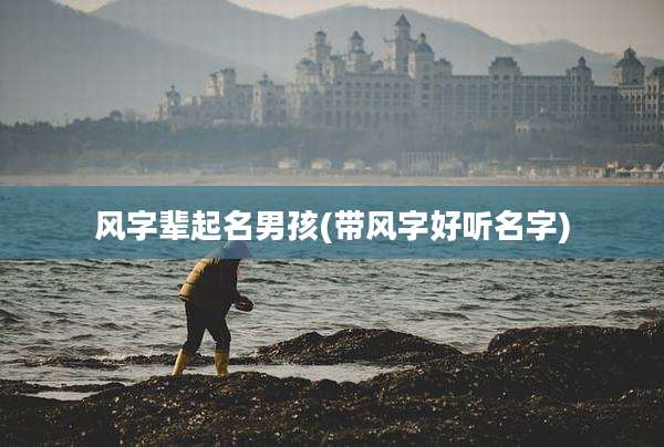 风字辈起名男孩(带风字好听名字)