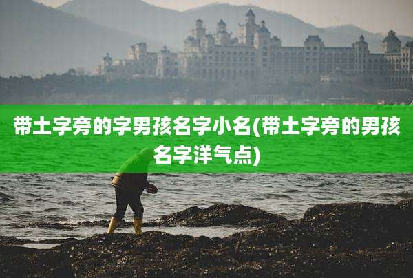 带土字旁的字男孩名字小名(带土字旁的男孩名字洋气点)