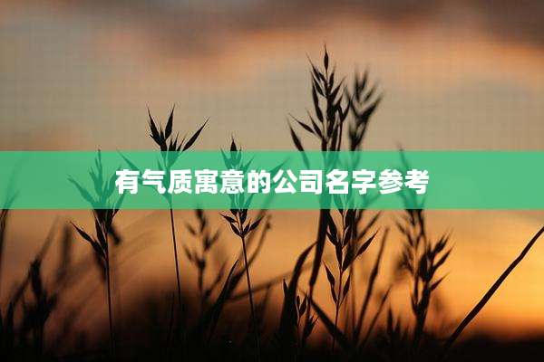有气质寓意的公司名字参考