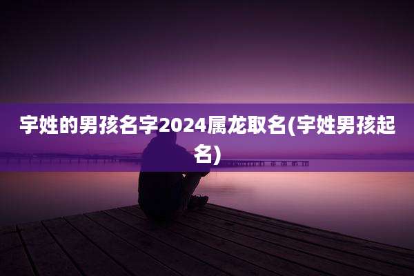 宇姓的男孩名字2024属龙取名(宇姓男孩起名)
