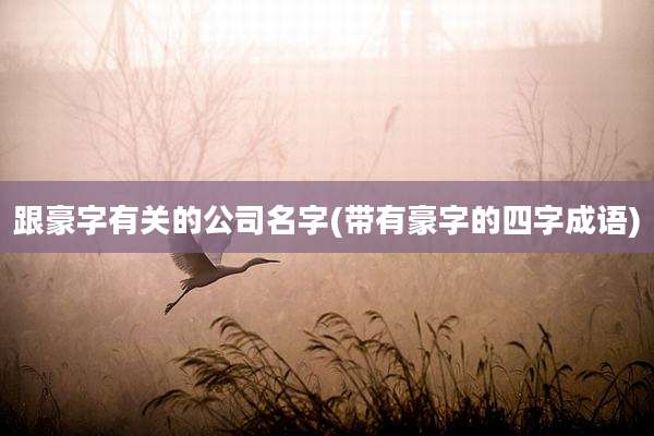 跟豪字有关的公司名字(带有豪字的四字成语)