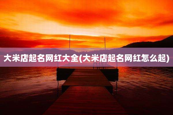大米店起名网红大全(大米店起名网红怎么起)