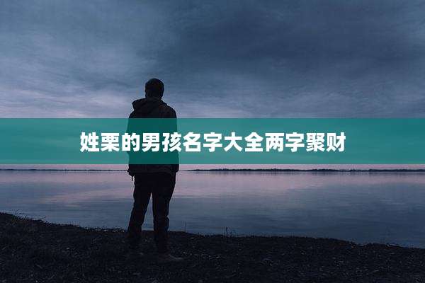 姓栗的男孩名字大全两字聚财