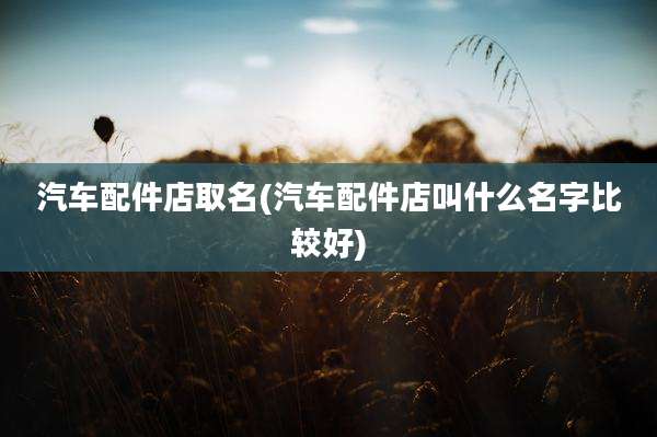 汽车配件店取名(汽车配件店叫什么名字比较好)