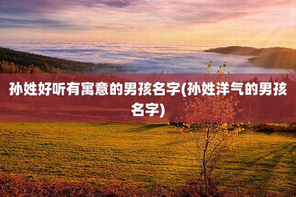 孙姓好听有寓意的男孩名字(孙姓洋气的男孩名字)