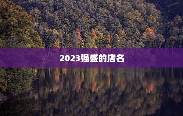 2023强盛的店名