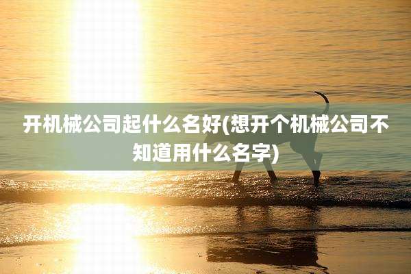 开机械公司起什么名好(想开个机械公司不知道用什么名字)