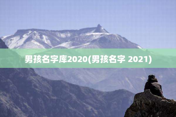男孩名字库2020(男孩名字 2021)