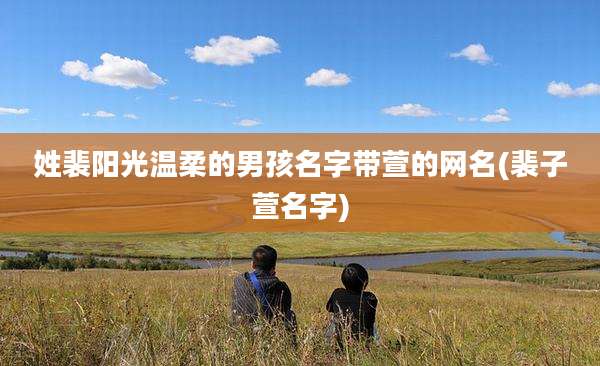姓裴阳光温柔的男孩名字带萱的网名(裴子萱名字)