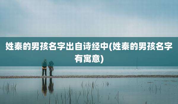 姓秦的男孩名字出自诗经中(姓秦的男孩名字有寓意)