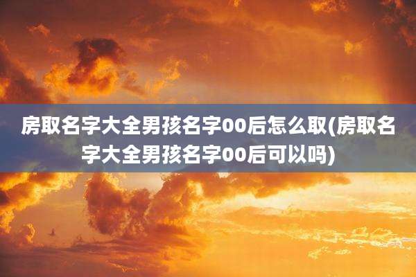 房取名字大全男孩名字00后怎么取(房取名字大全男孩名字00后可以吗)