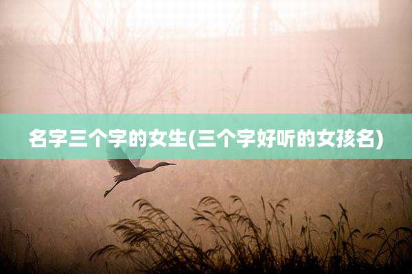 名字三个字的女生(三个字好听的女孩名)