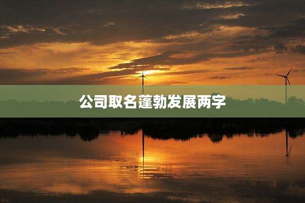 公司取名蓬勃发展两字