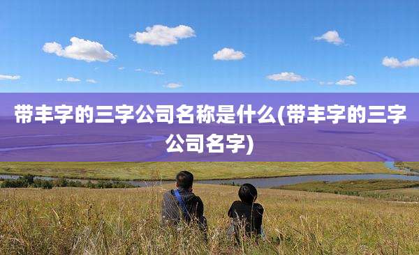 带丰字的三字公司名称是什么(带丰字的三字公司名字)