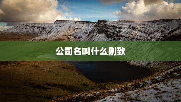 公司名叫什么别致