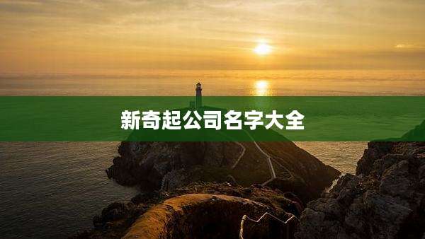新奇起公司名字大全
