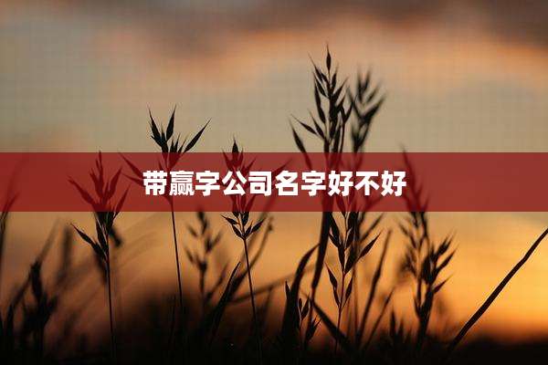 带赢字公司名字好不好