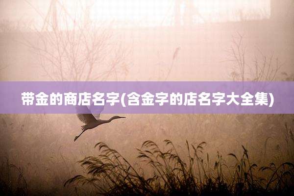 带金的商店名字(含金字的店名字大全集)