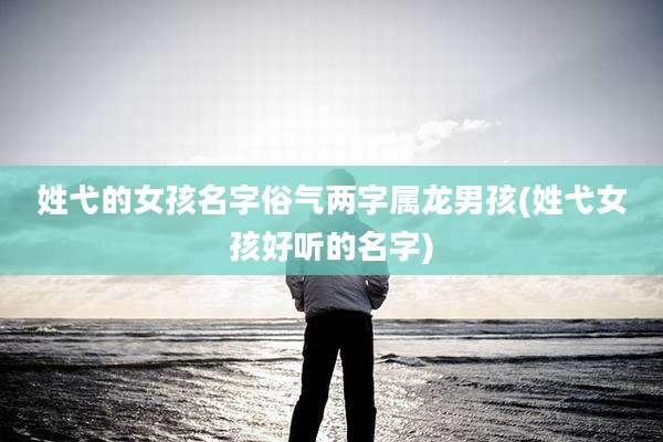 姓弋的女孩名字俗气两字属龙男孩(姓弋女孩好听的名字)