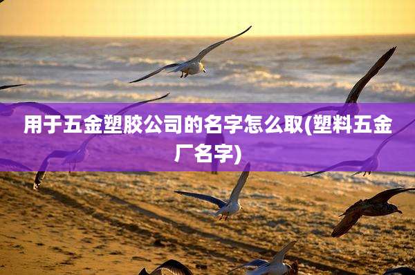 用于五金塑胶公司的名字怎么取(塑料五金厂名字)