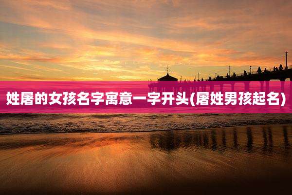 姓屠的女孩名字寓意一字开头(屠姓男孩起名)