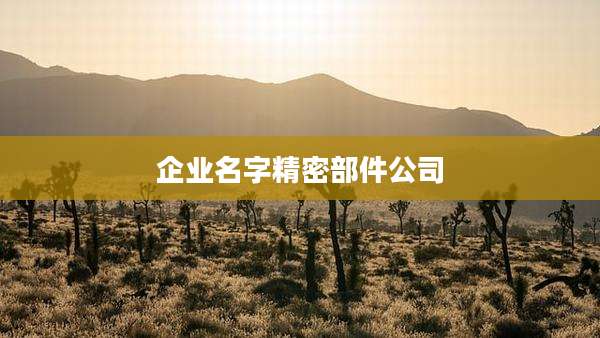 企业名字精密部件公司