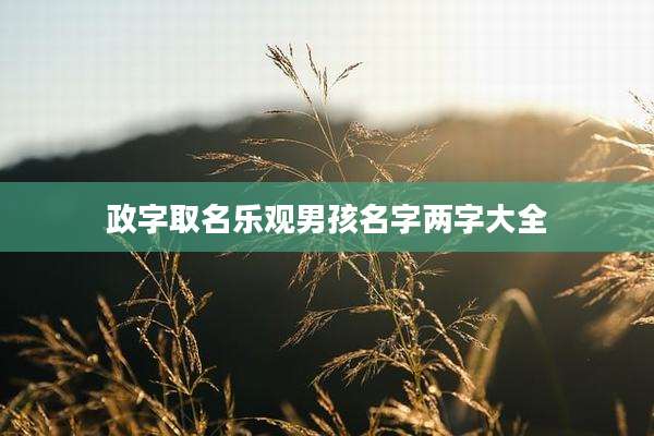 政字取名乐观男孩名字两字大全