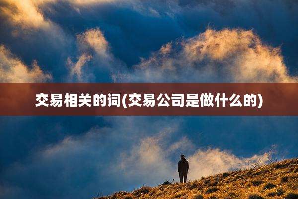 交易相关的词(交易公司是做什么的)