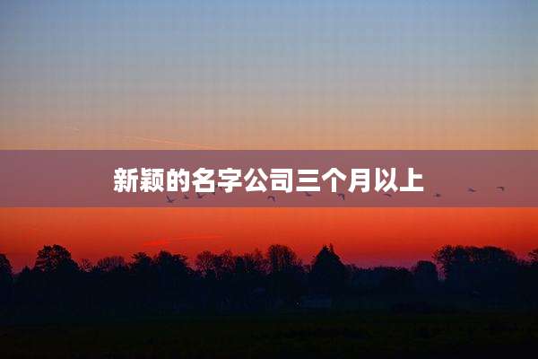 新颖的名字公司三个月以上