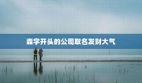 森字开头的公司取名发财大气