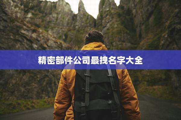 精密部件公司最拽名字大全