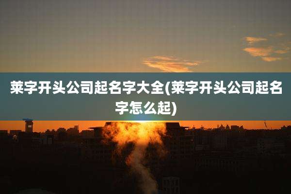 莱字开头公司起名字大全(莱字开头公司起名字怎么起)
