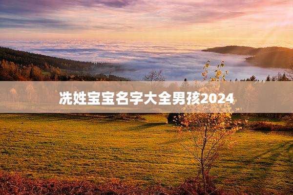 冼姓宝宝名字大全男孩2024