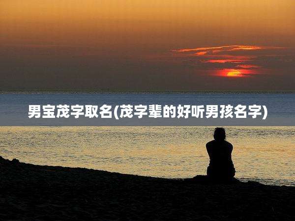 男宝茂字取名(茂字辈的好听男孩名字)