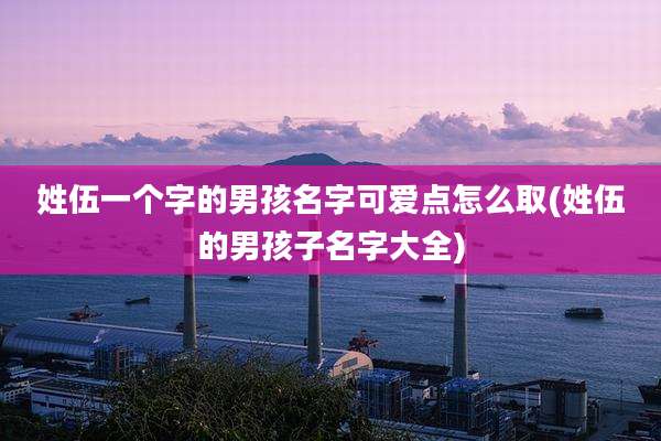 姓伍一个字的男孩名字可爱点怎么取(姓伍的男孩子名字大全)