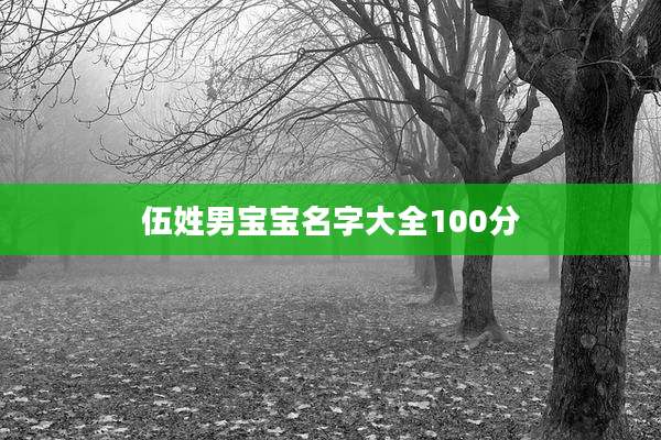 伍姓男宝宝名字大全100分